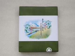 帰れなくてごめんね
